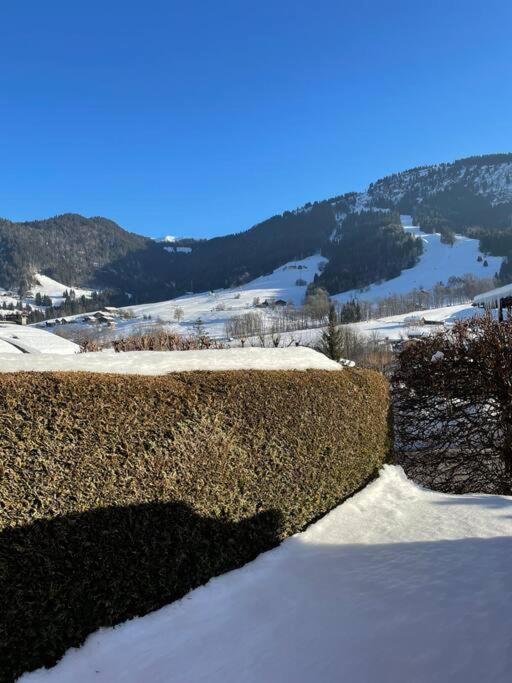 Charmant Studio + Jardin Vue Pistes Et Local Velo Praz-sur-Arly Esterno foto