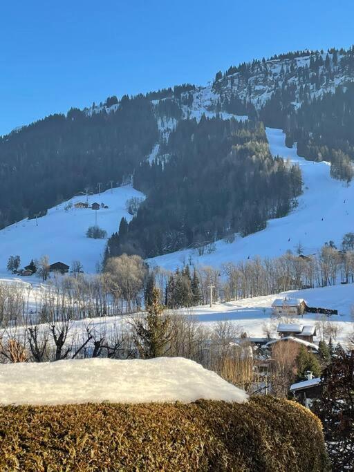 Charmant Studio + Jardin Vue Pistes Et Local Velo Praz-sur-Arly Esterno foto